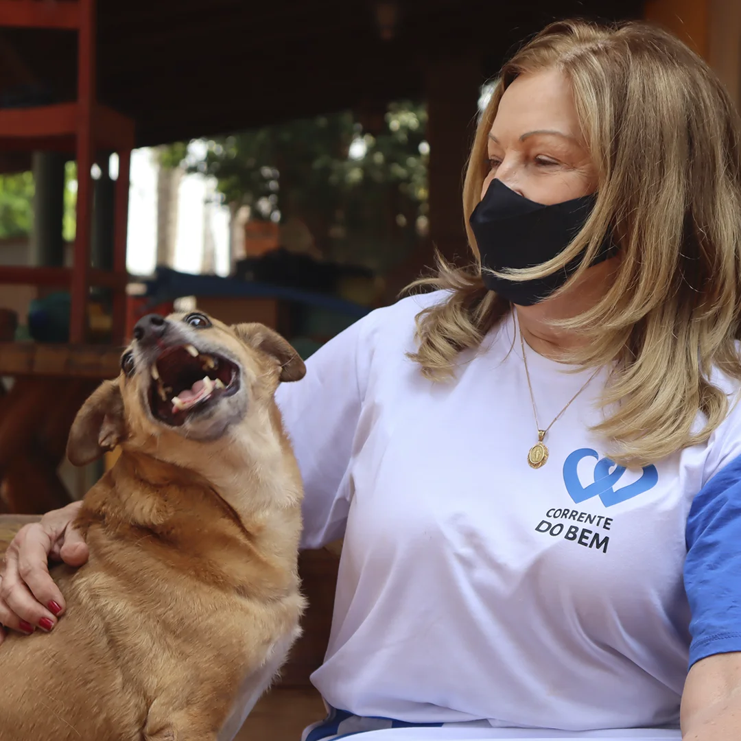 Sorocaba terá hospital veterinário público na zona norte